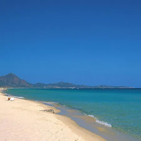 On Near Sandy Beaches