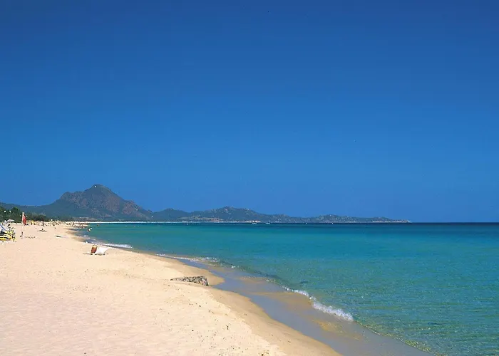 On Near Sandy Beaches